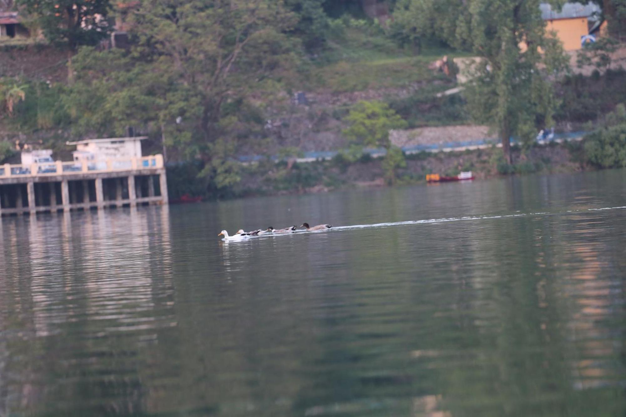 Royal Rosette Lake View Bhimtal Nainital Kültér fotó