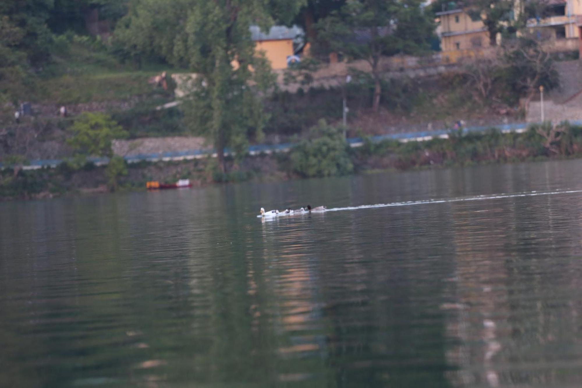 Royal Rosette Lake View Bhimtal Nainital Kültér fotó